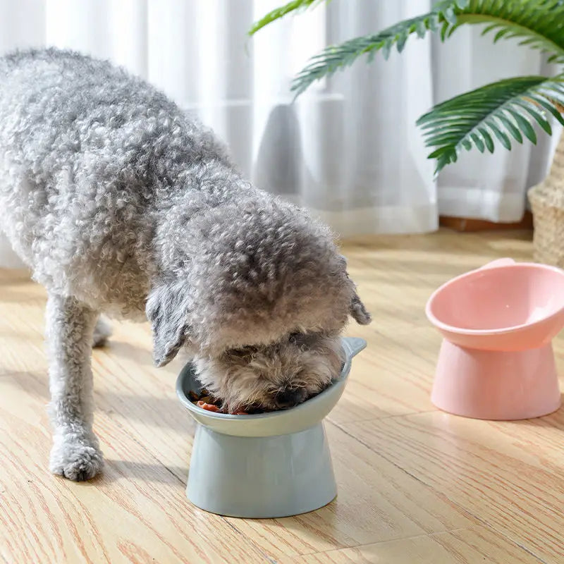 Plastic Cat Bowl | Ergonomic Design for Happy Pets