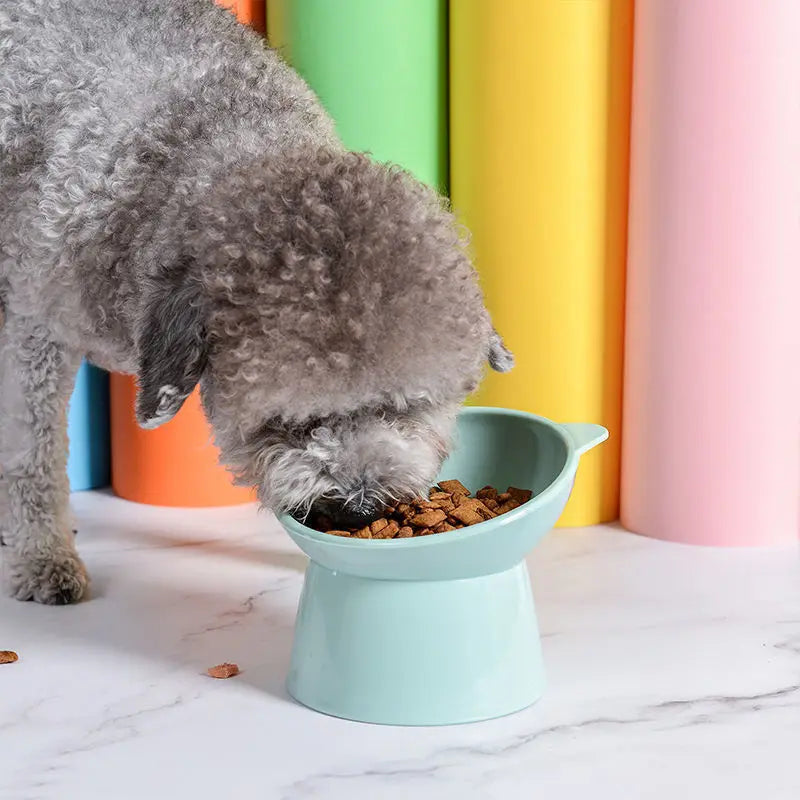 Plastic Cat Bowl | Ergonomic Design for Happy Pets